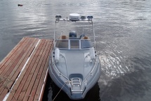 Электроника на таргу