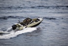 Boat GRIZZLY 470 DC new